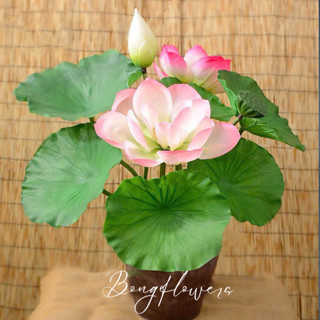 Hoa sen cao su giả, hoa sen giả trang trí decor tết decor trung thu