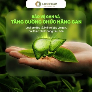 𝐋𝐚𝐝𝐨𝐇𝐞𝐫𝐛𝐚𝐥 𝐓𝐫𝐚̀ 𝐓𝐡𝐚̉𝐨 𝐝𝐮̛𝐨̛̣𝐜 𝐋𝐢𝐧𝐡 𝐂𝐡𝐢 vị ngọt tự nhiên