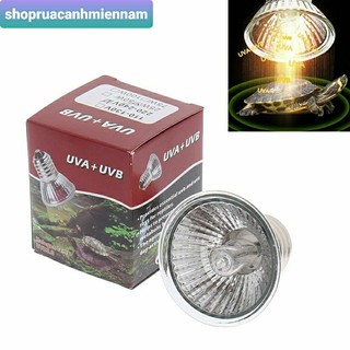 Đèn Sưởi Hẹn Giờ, Chỉnh Nhiêt Độ Siêu Xịn