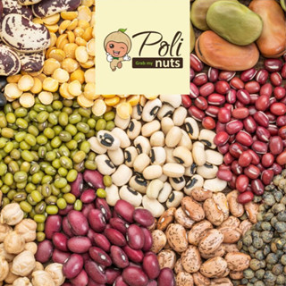 Các loại Đậu, Đỗ, Hạt Đậu Đỏ, Đậu Ngự, Đậu Trắng, Đậu Đen, Đậu Nành, Đậu Xanh Polinuts