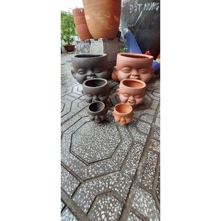 Chậu đất nung - chậu tí súng răng sz trung và nhỏ