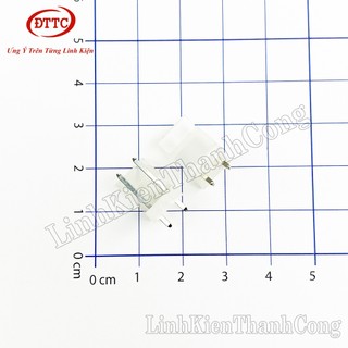 Đế Cắm Header 2P CH5.08 2P 3P Chân Thẳng