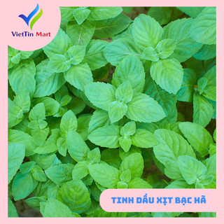 Tinh Dầu Bạc Hà Xịt Viettin Mart 260ml