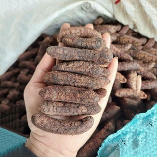 Chuối hột rừng Tấn Phát 500g