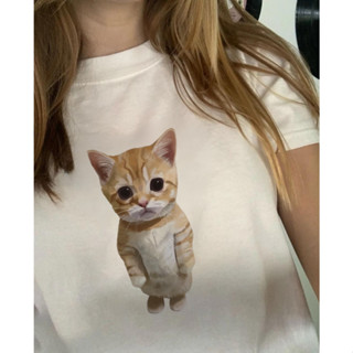 Áo Thun Baby Tee Mèo Con Đứng Đáng Thương Đáng Iu Standing Cat Meme Funny Shirt Retro Coquette Vintage Thời Trang Nữ