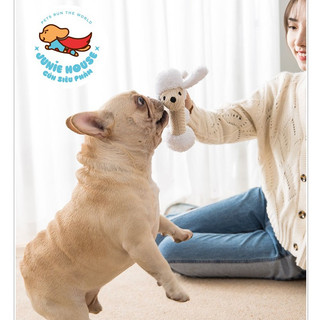 Đồ chơi gấu bông hình chó poodle