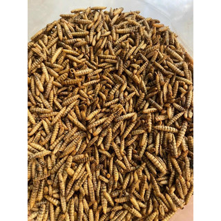  SÂU CANXI SẤY PHỒNG -  SÂU Sấy canxi THƠM - Thức ăn dinh dưỡng cho gà chim hamster  sóc nhím - gói 500g 