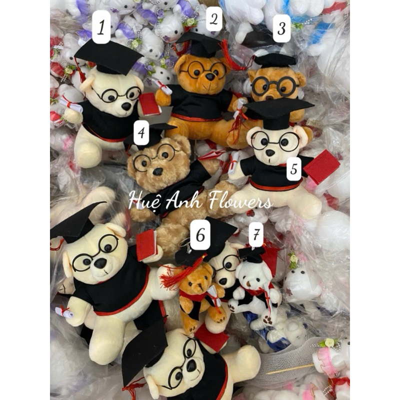 GẤU XÙ CỬ NHÂN 25CM (GẤU TỐT NGHIỆP)