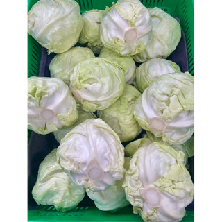 Bắp Cải Đà Lạt - 500g ( Giao hoả tốc )