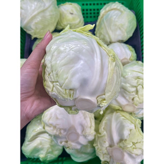 Bắp Cải Đà Lạt - 500g ( Giao hoả tốc )