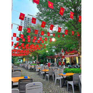 Cờ dây in 2 mặt 1 mặt Cờ Tổ Quốc kỳ Cờ Đảng lá cờ đỏ sao vàng trang trí ngày lễ Tết trường học quán cafe ngoài trời