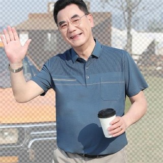 Áo thun polo nam trung niên tặng bố chất mát mịn AT05