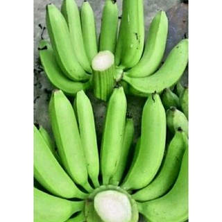 Chuối Xanh ( Chuối già lùn) 2kg .Dùng để nấu. Khách đặt mới cắt.