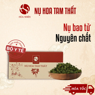 Trà Nụ hoa Tam Thất túi lọc - hàng nguyên chất nụ bao tử, tiện lợi - Hòa Nhiên