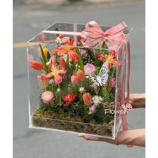 (Chuyên sỉ) Hộp mica trong suốt đựng hoa - Hộp mica trồng hoa Lan - Xương rồng -  Hộp trang trí quà tặng bằng mica