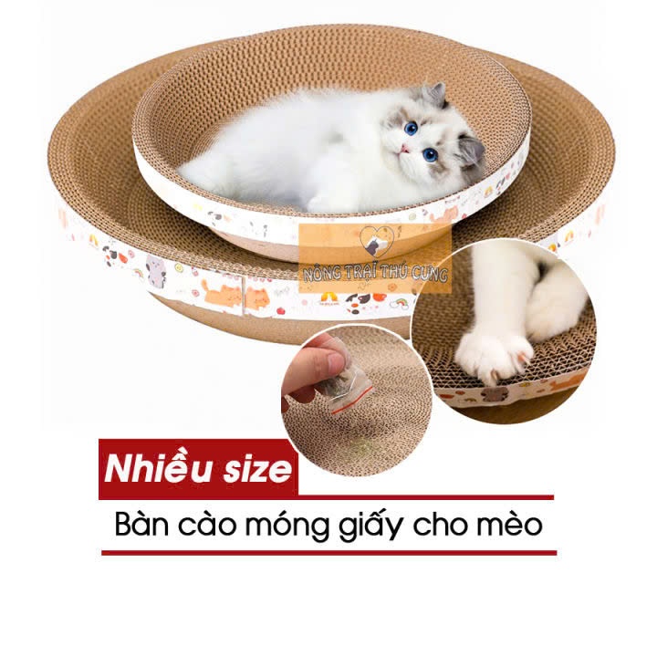 Bàn Cào Móng Tròn Cho Mèo - Nhiều Size
