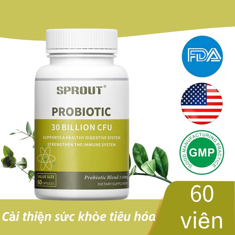 Probiotic, giảm tiêu chảy và đầy hơi, điều hòa cân bằng hệ thực vật đường ruột, 60 viên nang mề