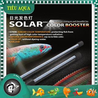 [Hỏa Tốc] Đèn Hồ Cá Neo Helios Solar Color Booster - Tăng Cường Giúp Màu Cá Thêm Đẹp