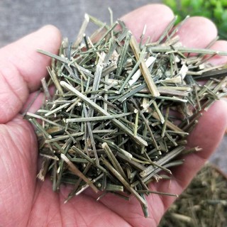 Xuyên tâm liên - Tấn Phát