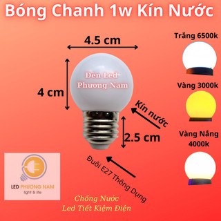 [COMBO 2 ] Bóng led chanh đổi màu, RGB (5 chế độ) Chống Nước trang trí Ngoài Trời