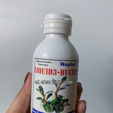 NUPHAR LIQUID BUCEP 3 PHÂN NƯỚC CHO CÂY THỦY SINH