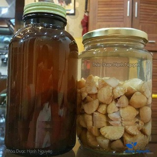 Hạt cau khô 500g, binh lang, giúp kháng khuẩn, ngừa sâu răng, giảm chướng bụng, đầy hơi, khó tiêu
