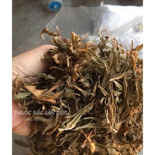 Lá đinh lăng khô 100g, trà đinh lăng, sạch, thơm - Lãn Ông