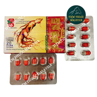 Nhân Sâm Hồi Sinh Tái Tạo Hoàn Malaysia Hộp 20 viên Hỗ trợ cơ xương khớp