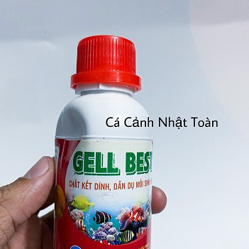 CHẤT KẾT DÍNH THỨC ĂN GELL BEST CHO CÁ CẢNH 100ML