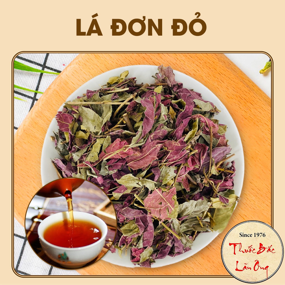 Lá đơn đỏ 1kg, lá tắm mề đay, khô, sạch, giảm mẩn ngứa, dị ứng, viêm da cơ địa, vẩy nến