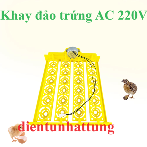 KHAY ĐẢO TRỨNG AC 220V, ĐẢO 24 TRỨNG TỰ ĐỘNG