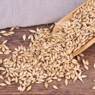 Mạch nha 500g (Mầm lúa mạch, hàng loại 1)