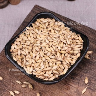 Mạch nha 500g (Mầm lúa mạch, hàng loại 1)