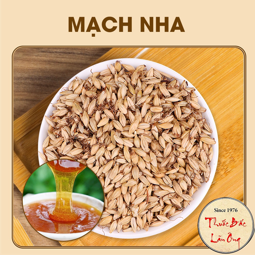 Mạch nha 500g (Mầm lúa mạch, hàng loại 1)
