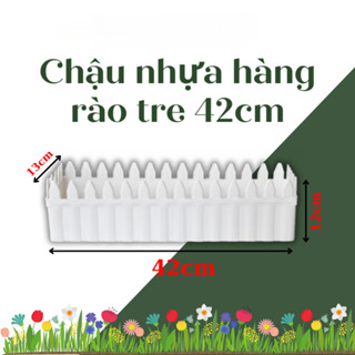 Chậu nhựa hàng rào 4T2 trắng đẹp mắt, xinh xắn 42x13x11 (Vườn Sài Gòn - Vuon Sai Gon)