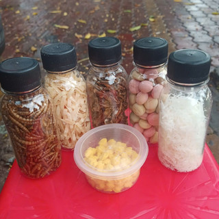 Combo thức ăn vỗ béo cho hamster và thú cưng