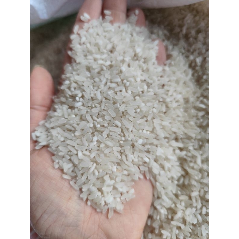 Gạo Khang Dân cơm khô
