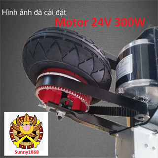 Động cơ chổi than Xe điện Scooter 24V 300W Động cơ giảm tốc Động cơ DIY Xe điện E-Bike MY1016
