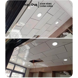 Đèn ốp trần nổi đẹp HAPOVA UKAS 1019
