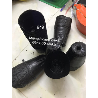 1kg bầu ươm nhiều kích cỡ