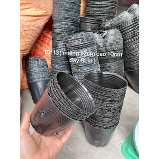 1kg bầu ươm nhiều kích cỡ