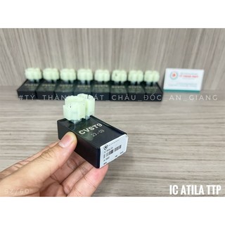 IC Atila ( 1 đầu 2 chân ) ( 1 đầu 4 chân ) ( 1 Cục )