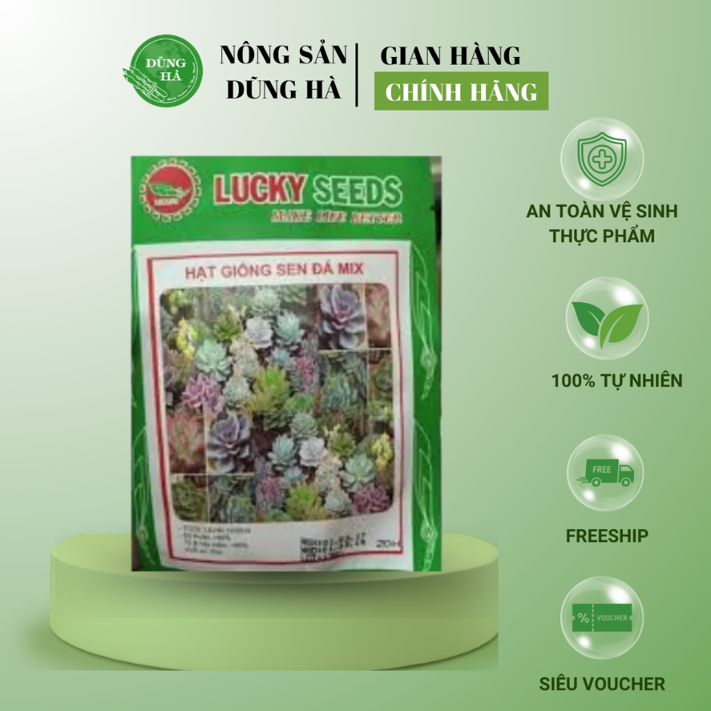 Hạt giống hoa sen đá MIX gói 20 hạt