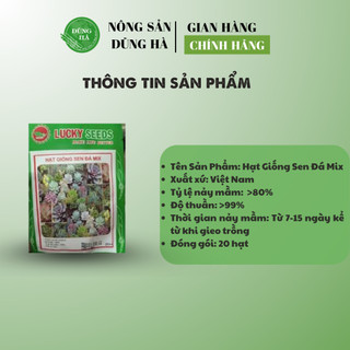 Hạt giống hoa sen đá MIX gói 20 hạt