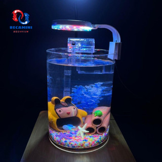 Bể cá mini để bàn COMBO kèm phụ kiện ( ống 18x25 )
