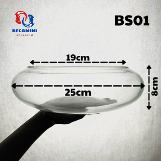 Bể cá mini, bể cá TRÒN THẤP( CHỌN MẪU) ki
