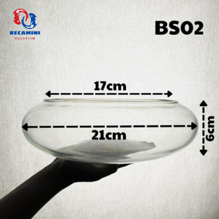 Bể cá mini, bể cá TRÒN THẤP( CHỌN MẪU) ki