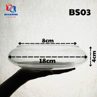 Bể cá mini, bể cá TRÒN THẤP( CHỌN MẪU) ki