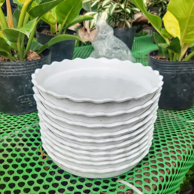 Dĩa lót chậu tròn 15cm (dĩa nhựa,màu trắng)
