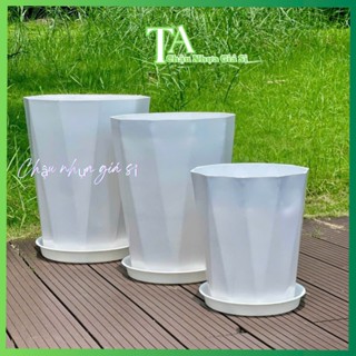   5 SIZE Chậu cây nhựa,Chậu giả sứ KIM CƯƠNG,Chậu trồng cây cỡ lớn loại 1 bền đẹp 